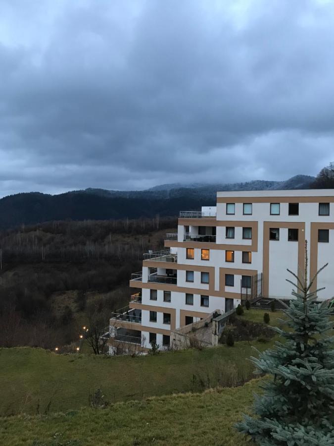 White Season Residence Braşov Buitenkant foto